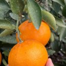 한라앤탐 이미지