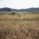 카페마인 이미지