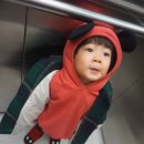 곡성-248 이미지