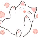 임대장속초조양점 이미지