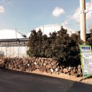 영포농장 이미지