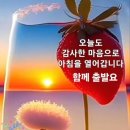 카페 회원님들 안녕하세요 (이미지 인사) 이미지