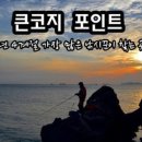 큰코지아침 이미지