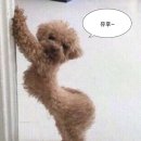 일이삼 이미지