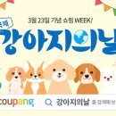 킴스덴탈 | [일상]3월23일국제강아지의날 온라인행사