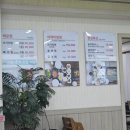 고추장송어 이미지