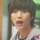 산들 강아지 이미지