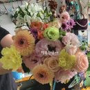 율포초등학교 이미지