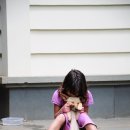 오늘도 댕댕이 이미지