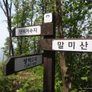 말미산정상 이미지