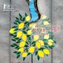 레몬트리 이미지