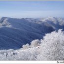 1월6일 토요일 당일산행 소백산 (1,439,5m) 이미지