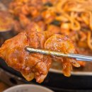 주식회사통나무집숯불닭갈비 | 춘천맛집 춘천통나무집닭갈비 본점