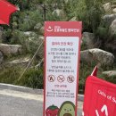 갤러리 | KLPGA 2026 오로라월드 챔피언십 1R 대회 갤러리 후기