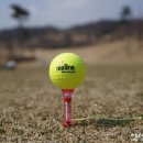 씽씽골프존 이미지