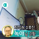 네이버 지식인 수호신 할아버지 부고 소식 이미지