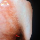 우리들동물병원 이미지