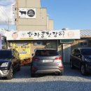 한라풍천장어
