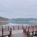 노아스로스팅은파호수점 이미지