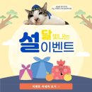 얼라이브스튜디오 이미지