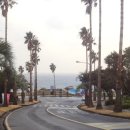 색달동-12 이미지