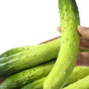 남종우농장 이미지