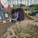 경남목장 이미지