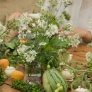 선미농장 이미지