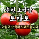 강화 보문사의 돌에 새겨 있는 글 이미지