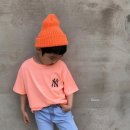 피그먼트 이미지