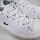 참좋은 세탁소 이미지