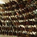 아프리카예술박물관 이미지