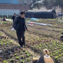 서강석농장 이미지