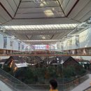 더하루 | 더현대서울 주차꿀팁 하루종일권 후기