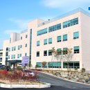 신세계병원 이미지