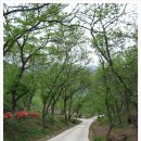 바울농장 이미지