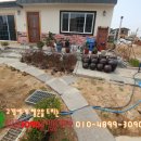 편백나무 주택 이미지