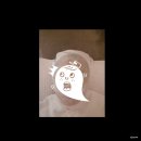 알라딘 | [구월동피부관리] 구월동에스테틱 화이트위치 알라딘필링 후기