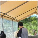 신두리세븐패밀리캠핑장 이미지