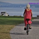창원성심노인전문요양원 네이버블로그