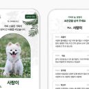 펫포레스트 이미지