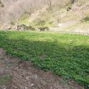 딴바위 펜션 이미지