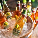 힐 스프링 이미지