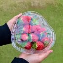 대복농장 이미지