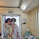 탑고을바라기 이미지