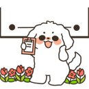 프레드피자 광주서구점 이미지