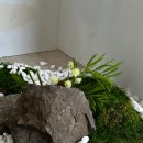 스톤스테이 이미지