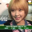 올레카센타 이미지