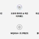 빅그램 이미지