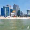 해운대해수욕장 2호 이미지